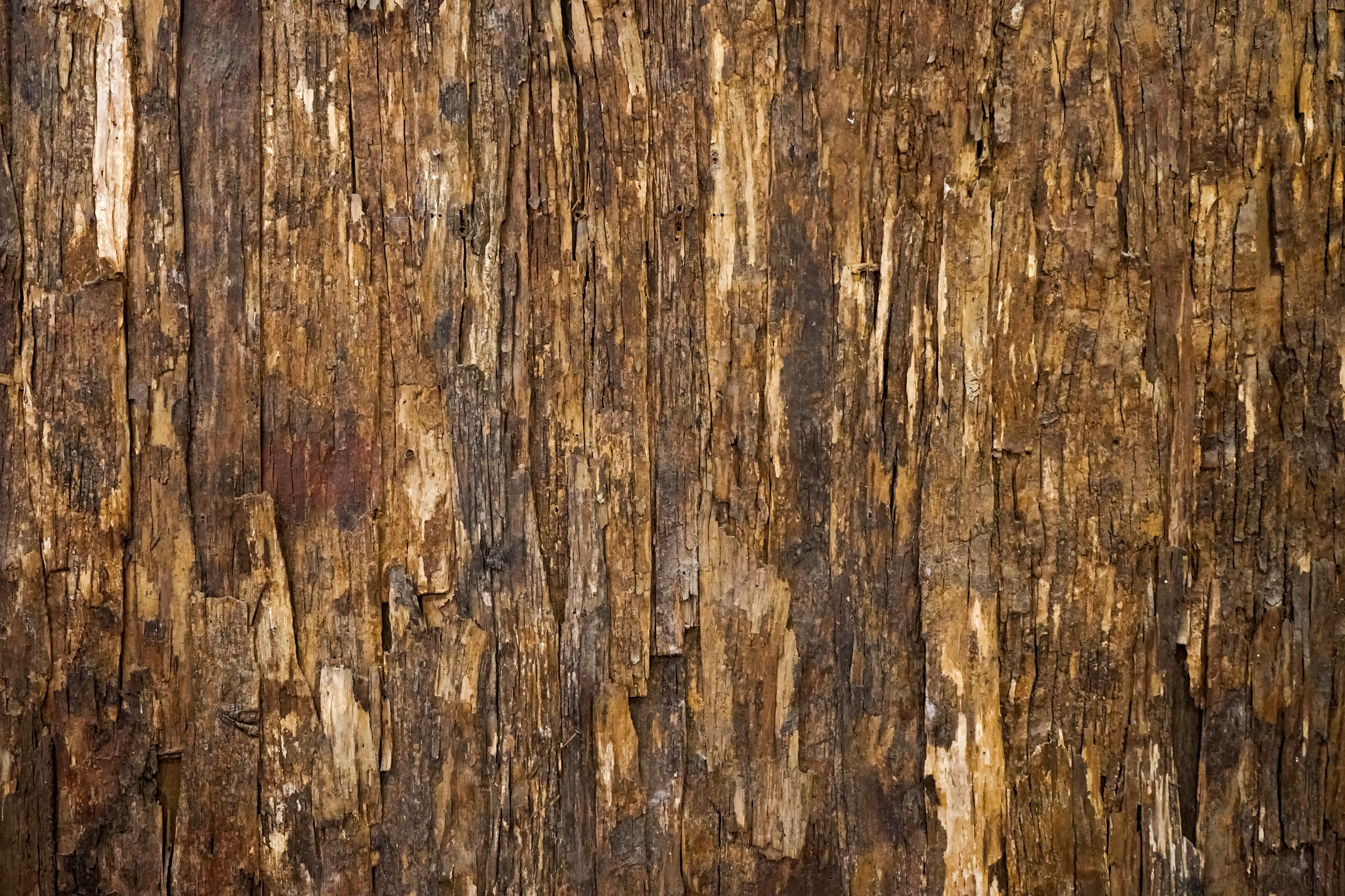 Bark Pasted on 6mm/9mm Marine Plywood